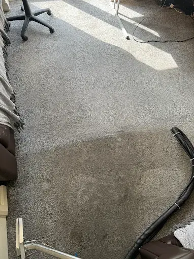 Cleaning wand lifting dirt from a grey carpet