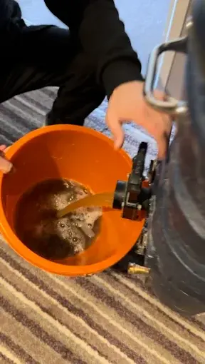 Dirty water being emptied from a rug cleaning machine