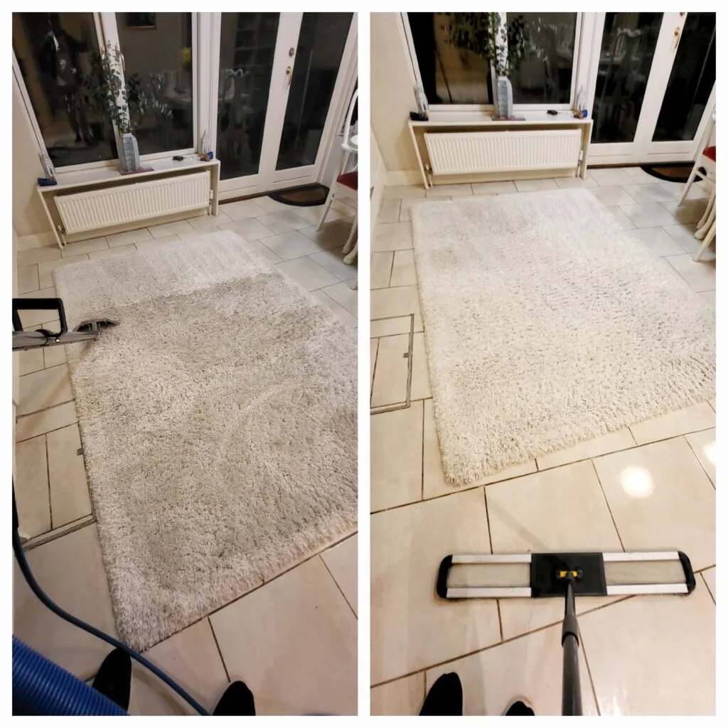 Area rug cleaning in progress