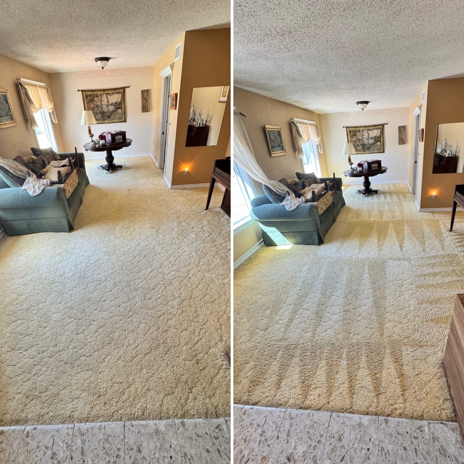 Professional carpet cleaning in progress