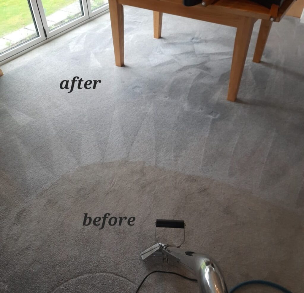 Area rug cleaning job