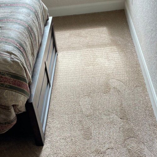 Carpet before cleaning
