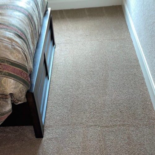 Carpet after cleaning