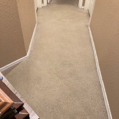 Carpet after cleaning