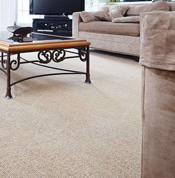 Carpet after cleaning