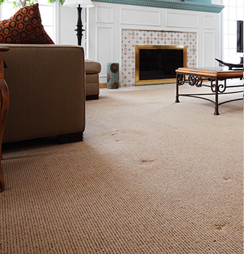 Carpet before cleaning