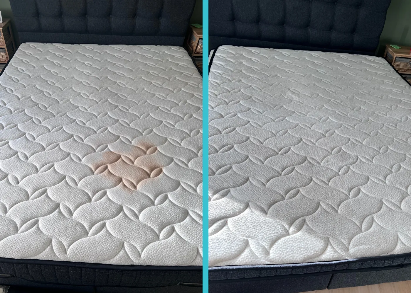 Pet stain and odour removal job