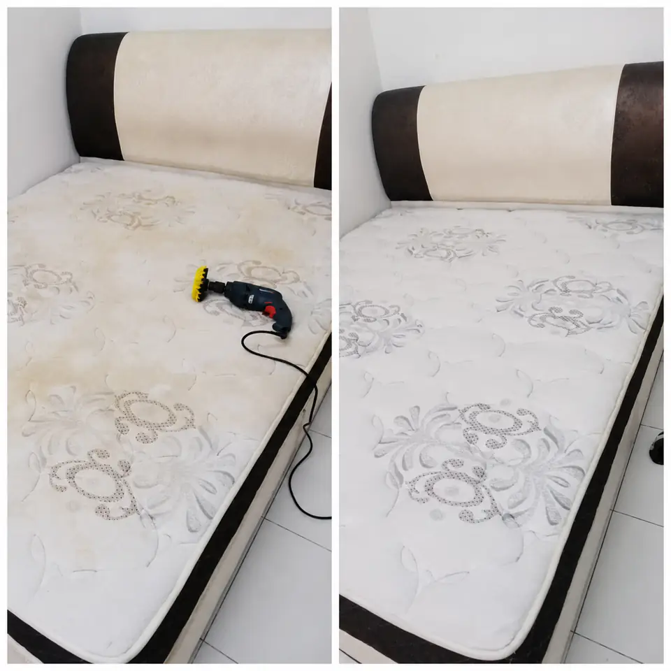 Pet stain and odour removal job