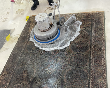 Carpet before and after pet stain removal