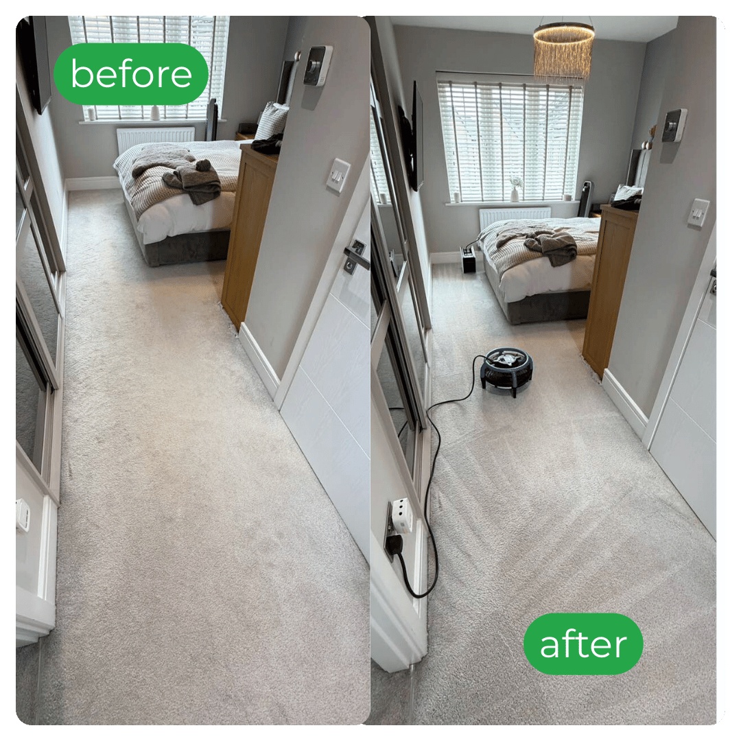 Carpet cleaning job