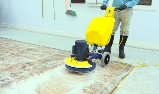 Rug before and after pet stain removal